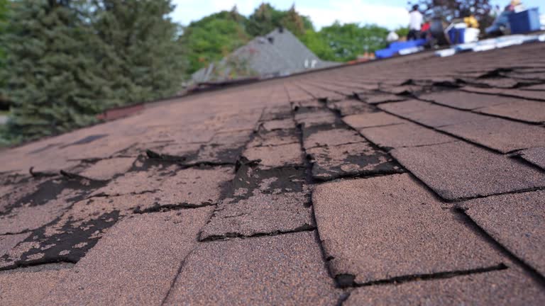 Best Sheet Metal Roofing  in Mountain Lodge Park, NY