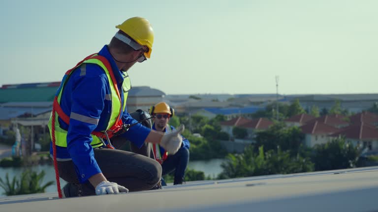 Best Skylight Installation and Repair  in Mountain Lodge Park, NY