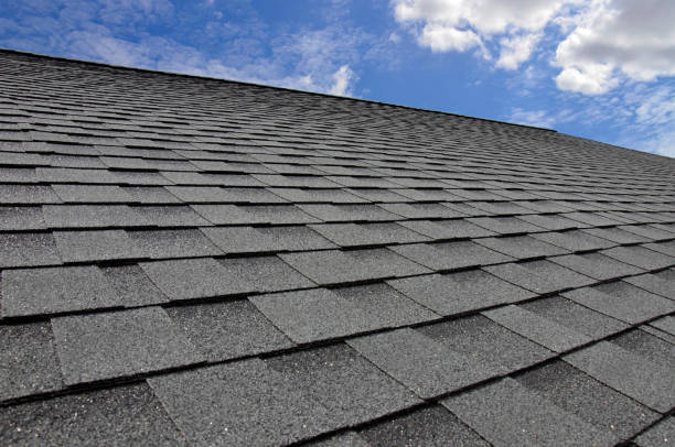 Best Steel Roofing  in Mountain Lodge Park, NY